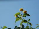 DSCN1401