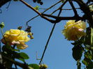 DSCN1405