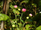 DSCN1407