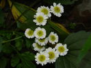 DSCN1411