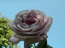 DSCN1425