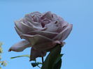 DSCN1426