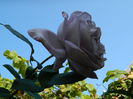 DSCN1427