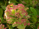 DSCN1431