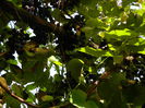 DSCN1437
