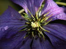DSCN1439