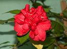 DSCN1461