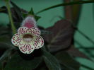 DSCN1462
