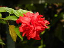DSCN1465