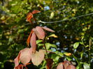 DSCN1490