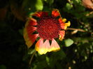 DSCN1491