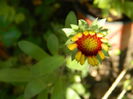 DSCN1492