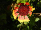 DSCN1493