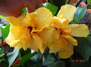 DSC08161