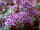 DSC08167