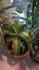 WP_20141022_11_47_45_Pro