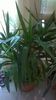 WP_20141022_11_47_56_Pro