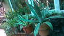WP_20141022_11_48_24_Pro