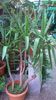 WP_20141022_11_48_42_Pro