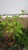WP_20141022_11_48_55_Pro