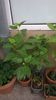WP_20141022_11_48_58_Pro