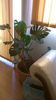 WP_20141022_15_27_56_Pro