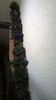 WP_20141022_15_28_12_Pro