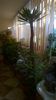 WP_20141022_15_41_16_Pro