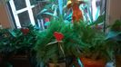 WP_20141022_15_48_59_Pro