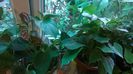 WP_20141022_15_49_06_Pro