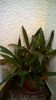 WP_20141022_15_50_35_Pro