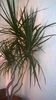 WP_20141022_15_50_48_Pro