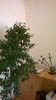 WP_20141022_15_51_08_Pro