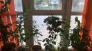 WP_20141022_15_51_25_Pro