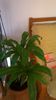 WP_20141022_15_51_47_Pro