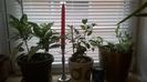 WP_20141022_15_53_09_Pro