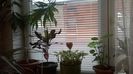 WP_20141022_15_53_24_Pro