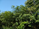 DSCN1497