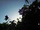 DSCN1499