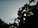 DSCN1500
