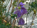 DSCN1503