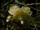 DSCN1512