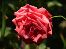 DSCN1513