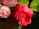 DSCN1524
