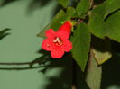 DSCN1529