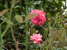 DSCN1542
