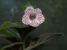 DSCN1559
