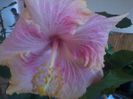20141013_175039