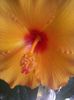 20141020_104015