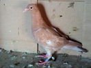 IMG_20140629_173839